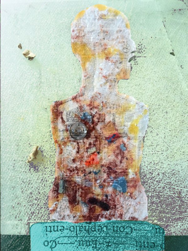 bp im con cephalo enti